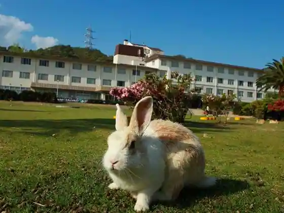 Kyukamuraokunoshima
