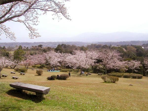 Murayama Park
