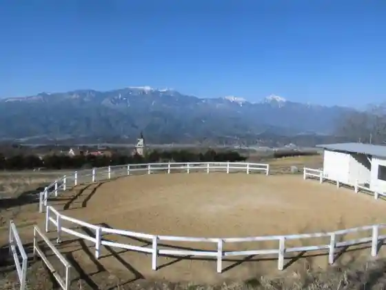 Sunny Field in Akeno Horse Farm