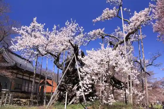 Jisso-ji Temple