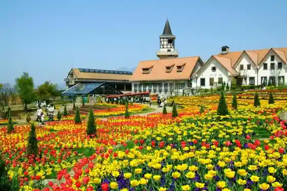 Heidi's Village