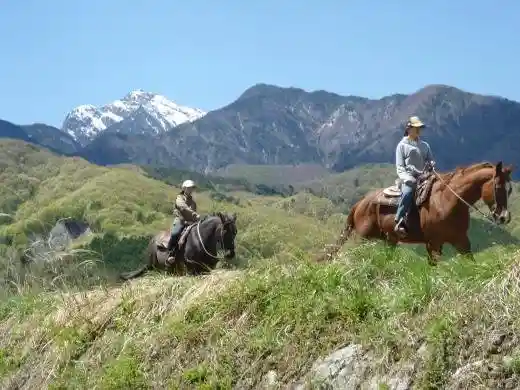 White Saddle