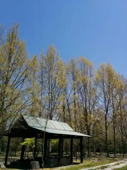 Ojira River Resort Auto Campground