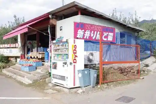 Arai Apple Orchard
