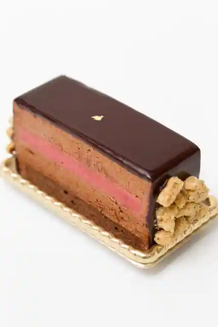 Poche du Reve