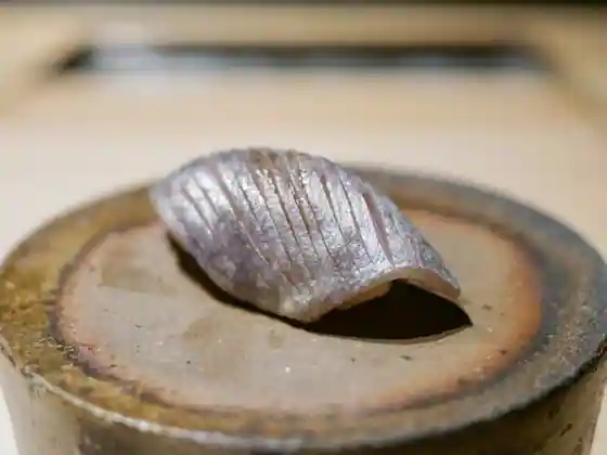 Sushi Fujimori