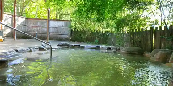 Shioda Onsen Ryokan Yumoto Ueyama