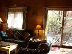 Log Cabin Free Ride