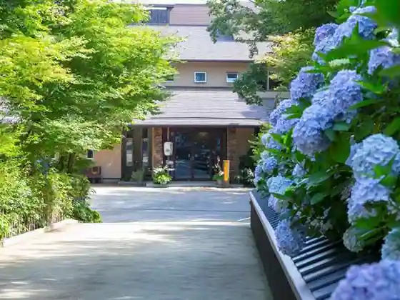 Rokkosan Ocean Terrace Ajisai