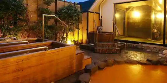 Arima Onsen Miyukiso Hanamusubi