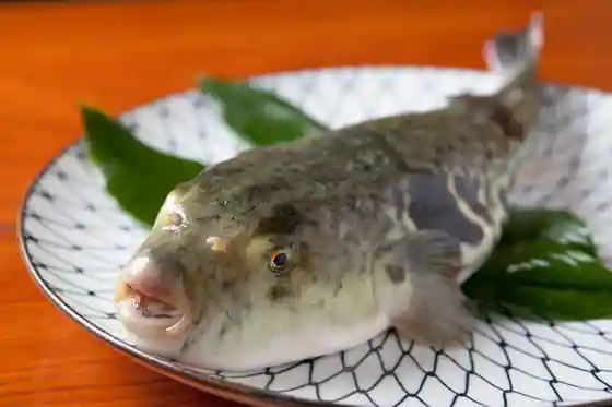 Awaji Shima Sato Aji