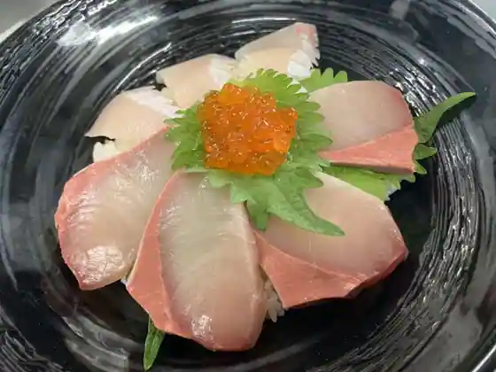 Sakana Shokudo Fresh Kitano