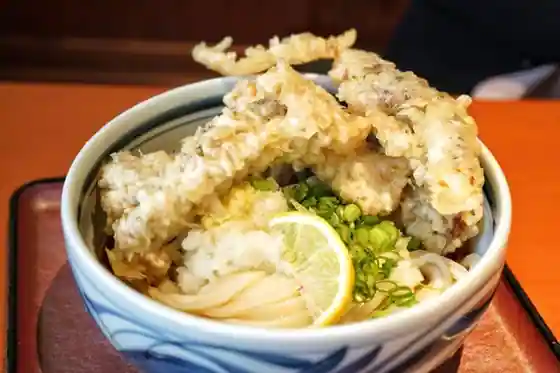 Sanka Udon Hangesho