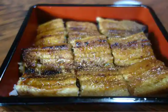 橋本屋