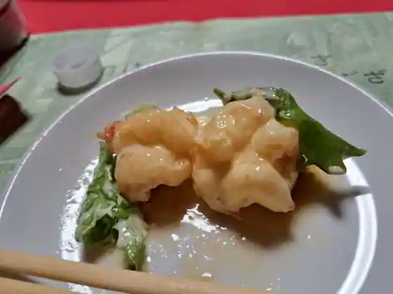 Shodoten