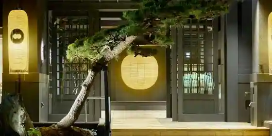 Yumura Onsen Sato Onjuku Kotobuki