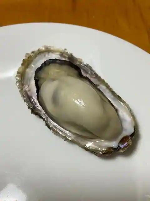 Ju Sakae Maru