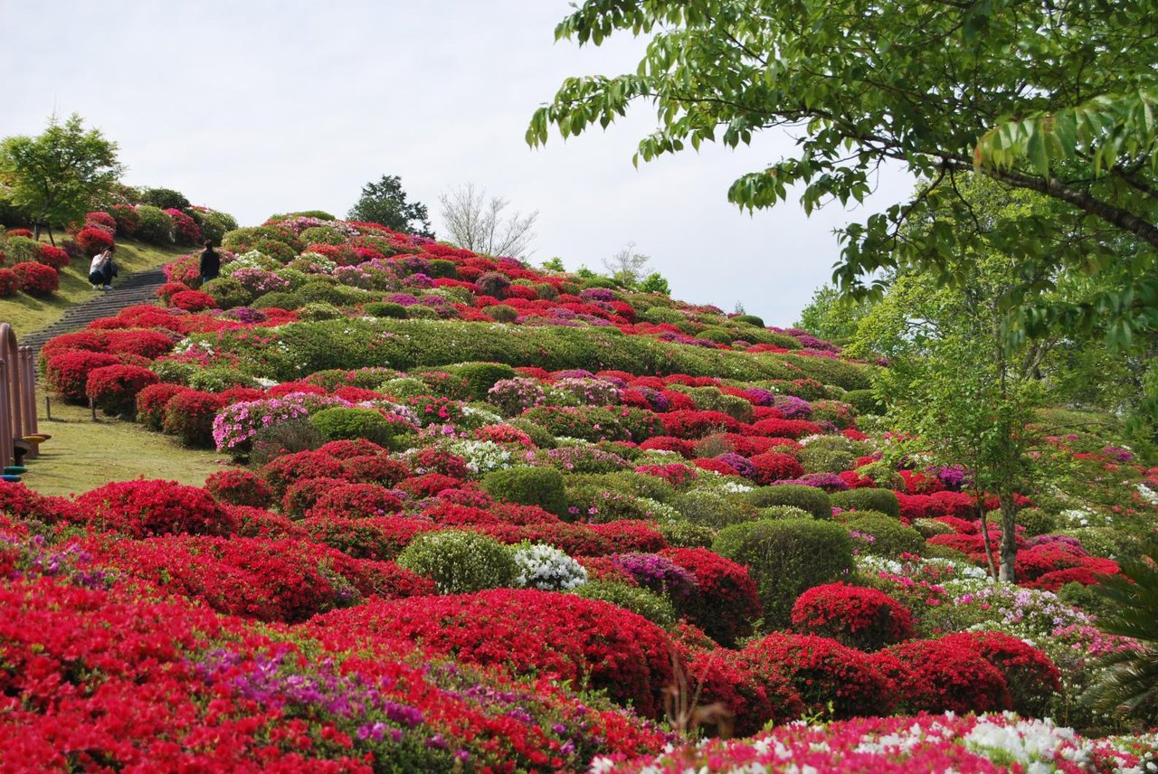 Bokusui Park