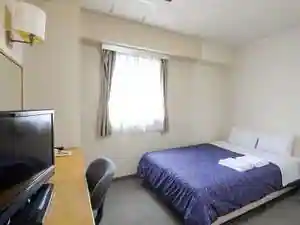 Hotel Shimodate Hills Shimodate Ekimae Mise (Kyu : SANTA)