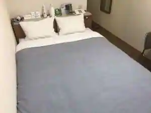 Bincho Sumi No Yu New Central Hotel Katsuta (BBH Hotel Group )