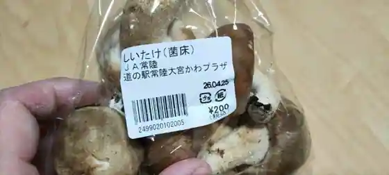 道の駅 常陸大宮 かわプラザ