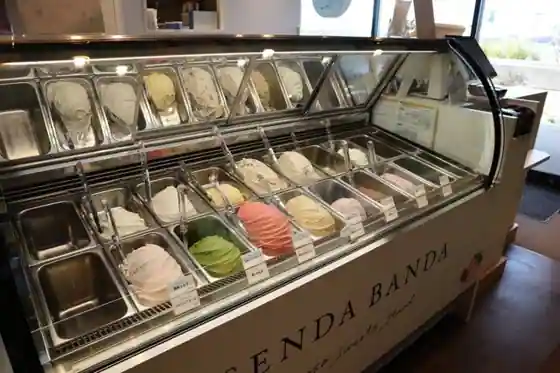 SENDA BANDA