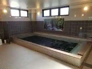 Hotel Rein Kashima (Kyu Hotel Uinguintanashonaru Kashima)