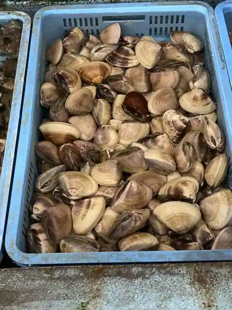 浜茶屋 やましょう