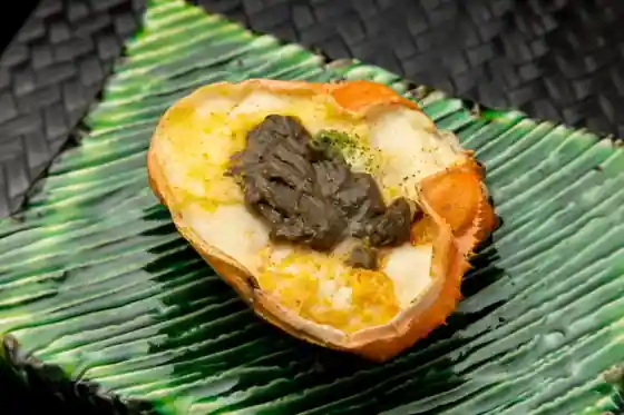 ウツギ酔賓店
