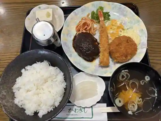 ニューかわぎし