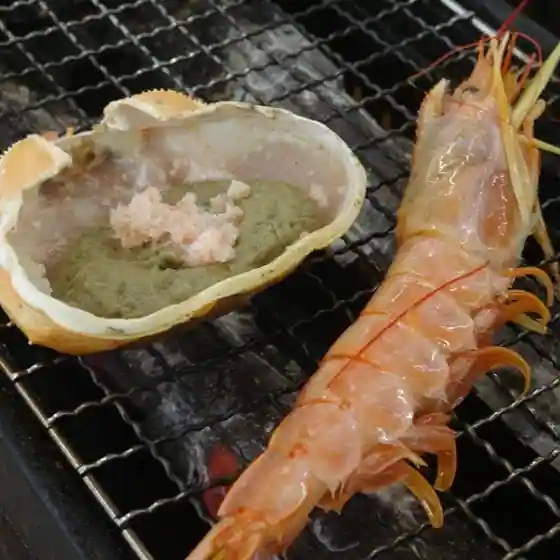 Kaki Koya