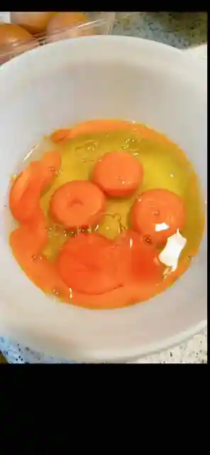 Ran Tamago