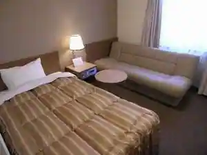 Ryugasaki Plaza Hotel Shinkan