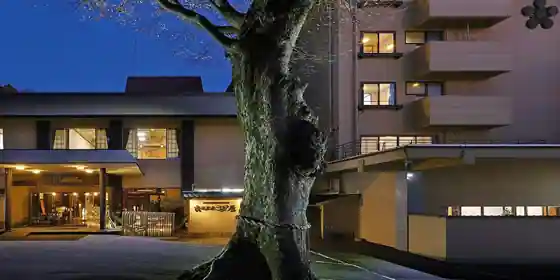 筑波山江戸屋