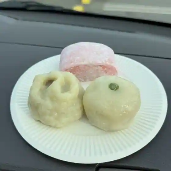 Tezukuri Wagashi Tokoro Shinzei Do