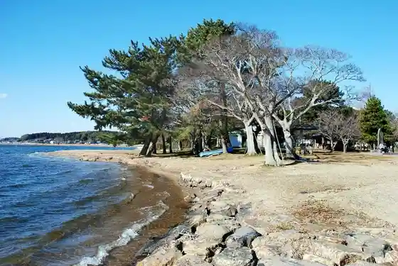 Oya Sawa Park
