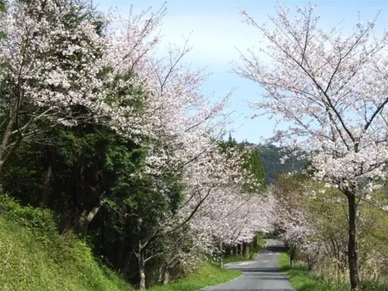 Washio-no-Mori Nature Park