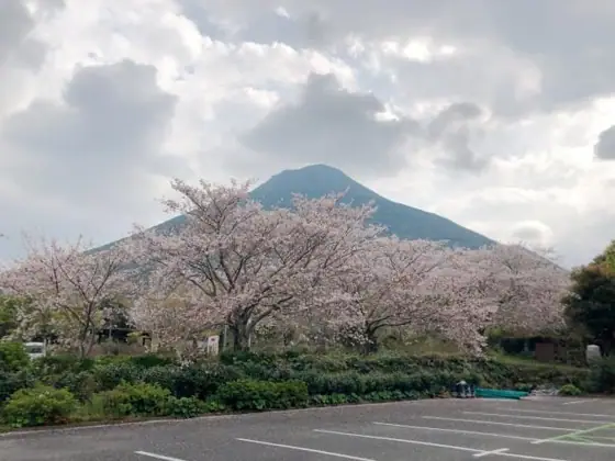 Kaimon Foothills Fureai Park and Campground