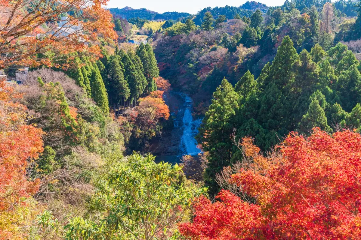 Yoro Gorge
