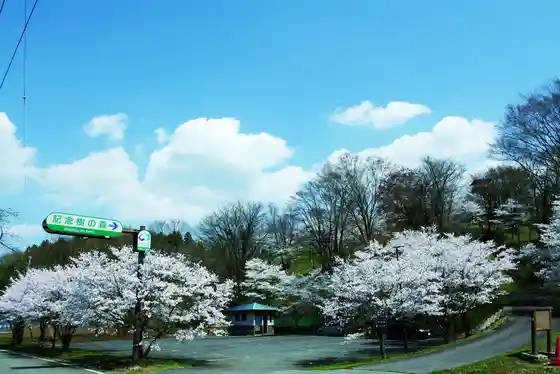 Memorial Tree Forest