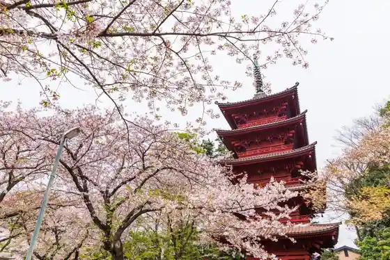 Nichiren Munehiro Honzan Nakayama Hokekyo Tera