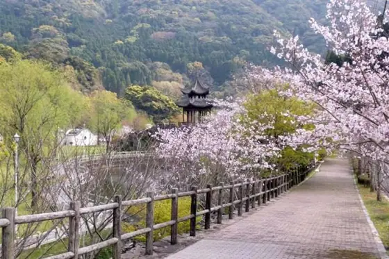 Kanmuridake Hanakawa Erosion Control Park