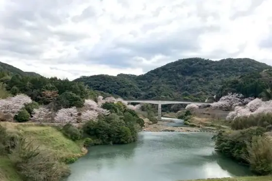 Kushikino Dam Area