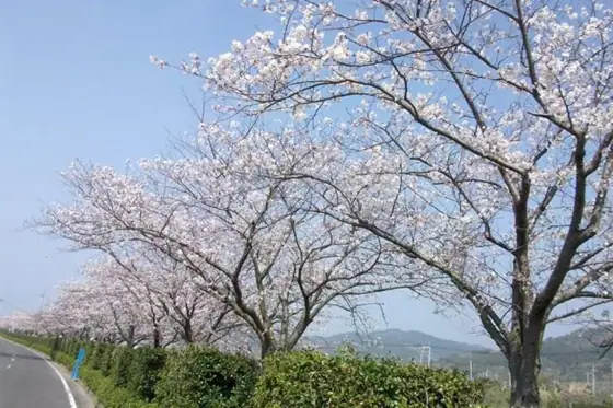 Gotanda Riverside