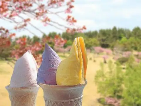 Okunakayama Highland Gelato Yukiakari