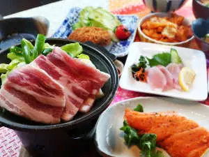 Business Hotel Satou