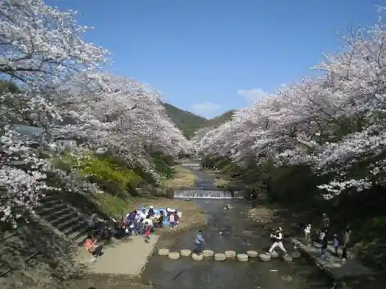 Ide no Tamagawa
