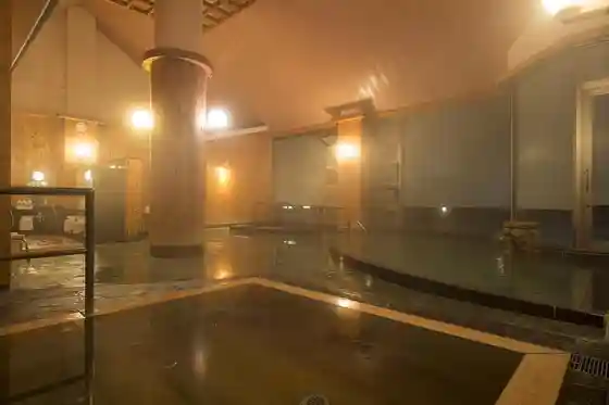 Iga no Kokudai Yamadaonsen Sarubi no