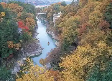 Tenryukyo Autumn Foliage