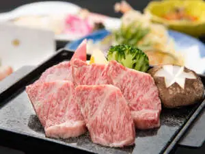 Iide Soekawa Onsen Shirasagi-so